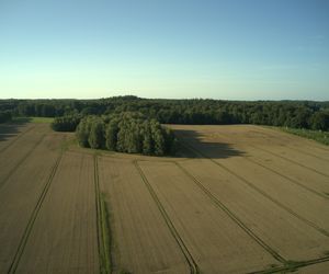 Ogromne gospodarstwo w warmińsko-mazurskim na sprzedaż. Było tam największe stado bizonów w Polsce