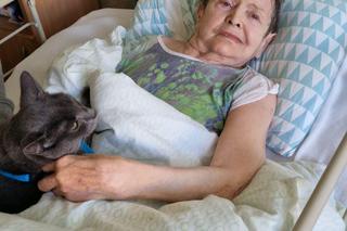 Zbiórka dla Fundacji Azyl w Konstantynowie Łódzkim. Zwierzęta na co dzień pomagają pacjentom ZOL-u