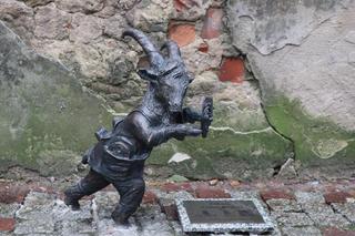 To największy romantyk na Szlaku Lubelskiego Koziołka! Poznajcie Łukasza [ZDJĘCIA]