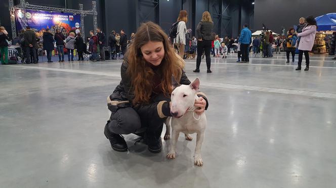 Międzynarodowa Wystawa Psów Rasowych w Bydgoszczy