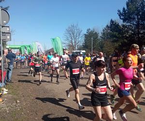 II edycja Bronek Run Forest Edition w Grudziądzu