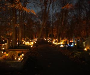 Stare Powązki rozświetlone zniczami 2.11.2024