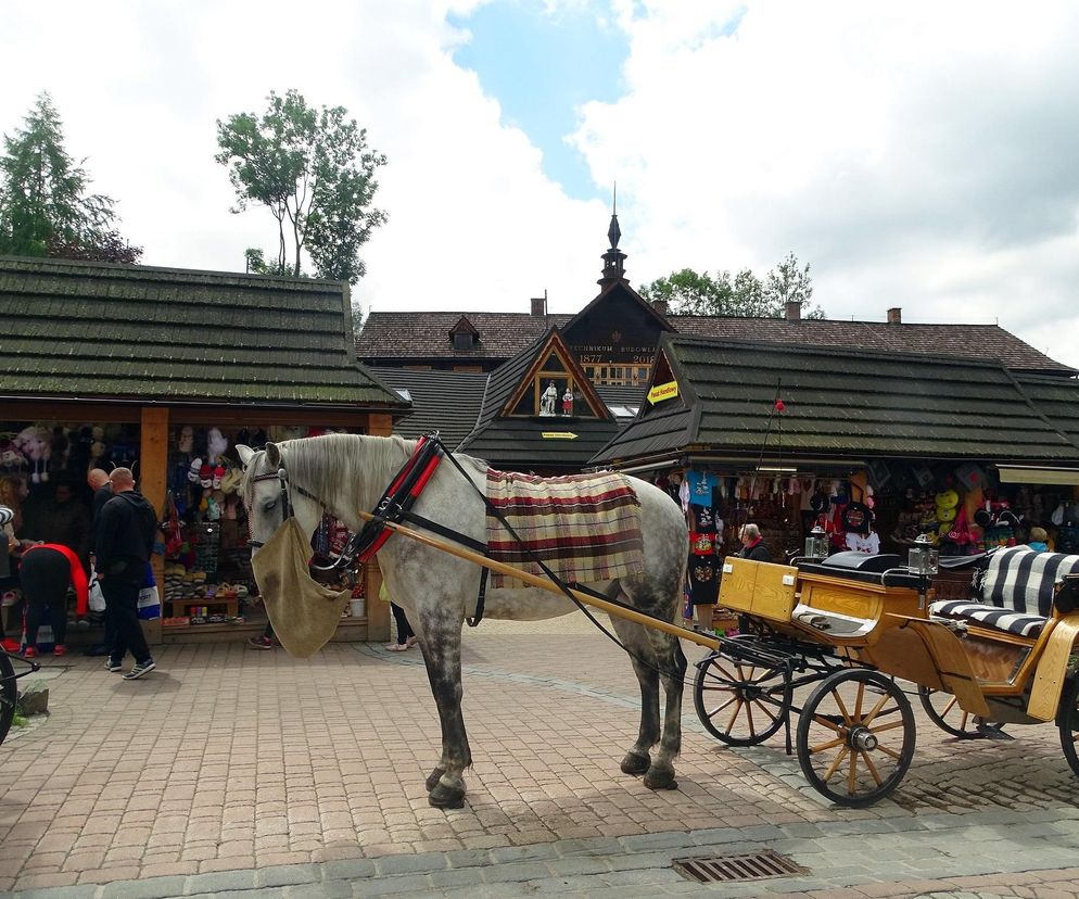 Krupówki, Zakopane