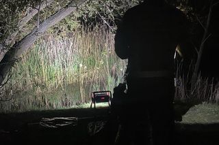 Nie żyje drugi łabędź z Chorzowa. Miasto chce zamontować w okolicy stawu kamerę monitoringu