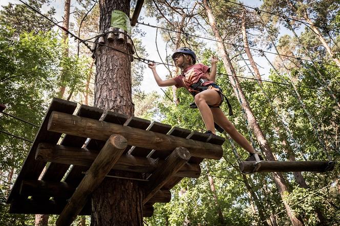 Park Dolina Wkry w Pomiechówku - spacer w koronach drzew, place zabaw, plaża