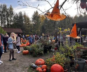 Zagroda 3 siostry w Kamieniu przyciągnęła całe rodziny w ciepły jesienny weekend ZDJĘCIA