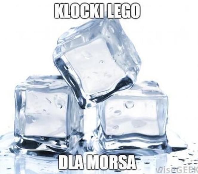 Morsowanie: MEMY 2021. Zobacz najlepsze obrazki i memy o morsowaniu! [ZDJĘCIA]