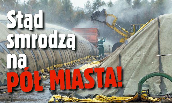 Stąd smrodzą na pół miasta