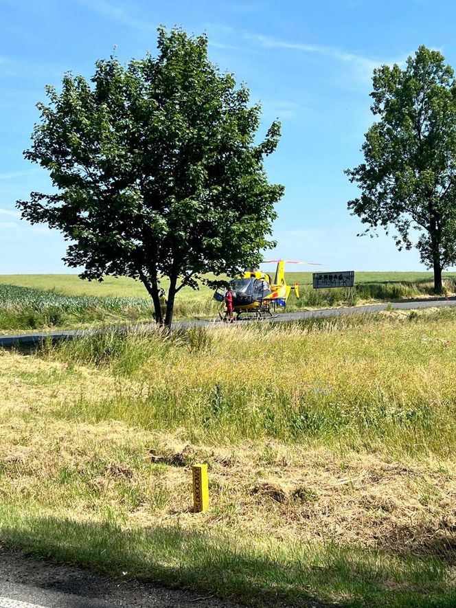 Śmiertelny wypadek na DK 38 pod Kędzierzynem-Koźlem. Policja ujawniła wstępną przyczynę tragedii [ZDJĘCIA].