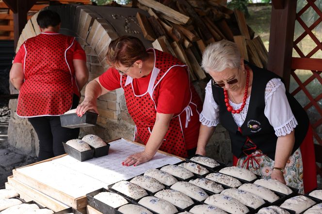 Wyjątkowy Festiwal Chleba w Kujawsko-Pomorskiem. W Janiej Górze wam sie upiecze!