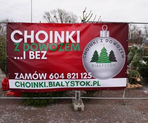 Ceny choinek w Białymstoku. Ile zapłacimy za drzewko w Podlaskiem?