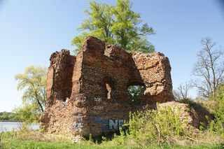 Drzewa w Złotorii wycięte. Porastały ruiny zamku, nakaz wydał konserwator zabytków