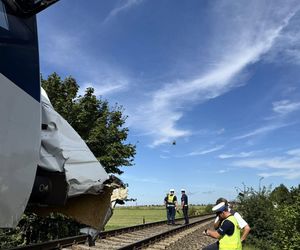 Tragedia na torach. 16-latek zginął pod pociągiem, a to nie był jedyny wypadek