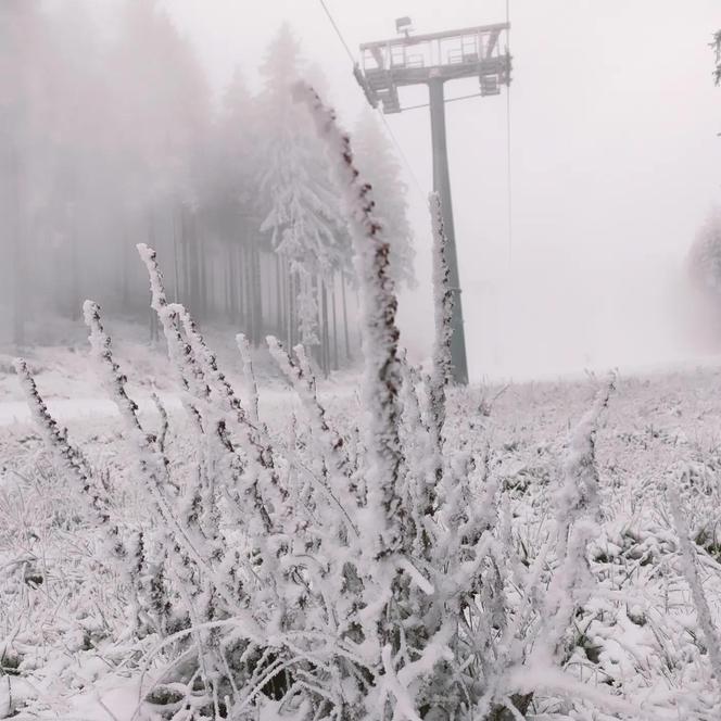 Sezon narciarski w górach na Dolnym Śląsku. Kiedy będzie można szusować po nartostradach?