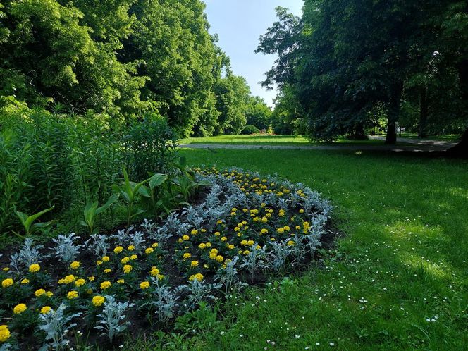 Park Miejski w Zamościu