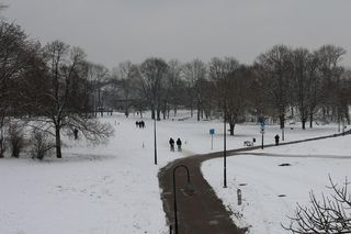 Pogoda na weekend. Jest ostrzeżenie IMGW 