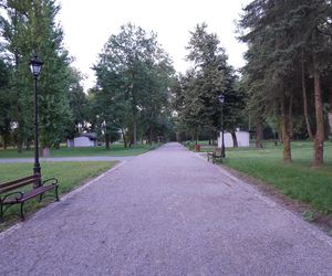 Park w gminie Mełgiew