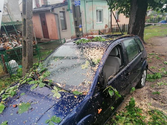 Drzewo przygniotło auto! Gdzie są burze w Płocku i okolicach?