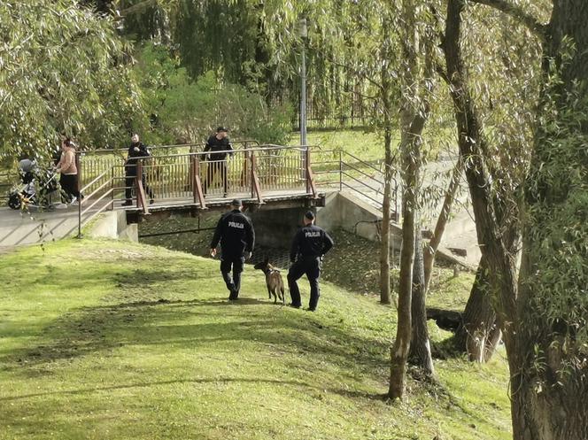 Mężczyzna WSKOCZYŁ do Drwęcy na terenie Brodnicy. Trwa akcja poszukiwawcza