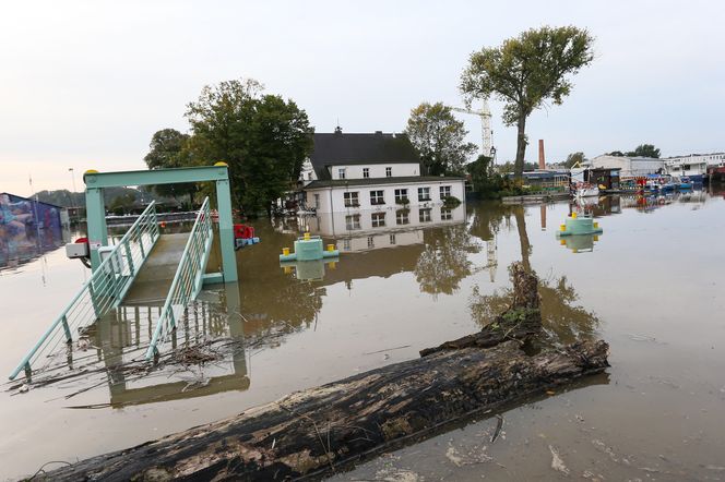 Nowa Sól - stan Odry na 23 września