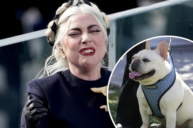 Lady Gaga straciła psy