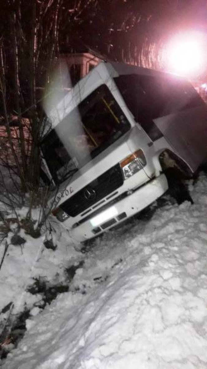 Bus wpadł do rowu i uwięził 8 pasażerów! Musieli wyskakiwać przez okno! 