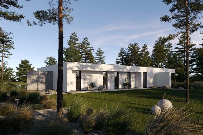 Homeconcept 112 to ekstrawagancka rozłożysta willa dla miłośników współczesnego designu
