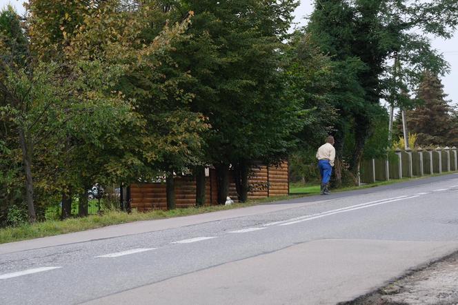 Gilowice: Tak zginęła ciężarna Gosia. Córka w fatalnym stanie [REKONSTRUKCJA ZDARZEŃ]