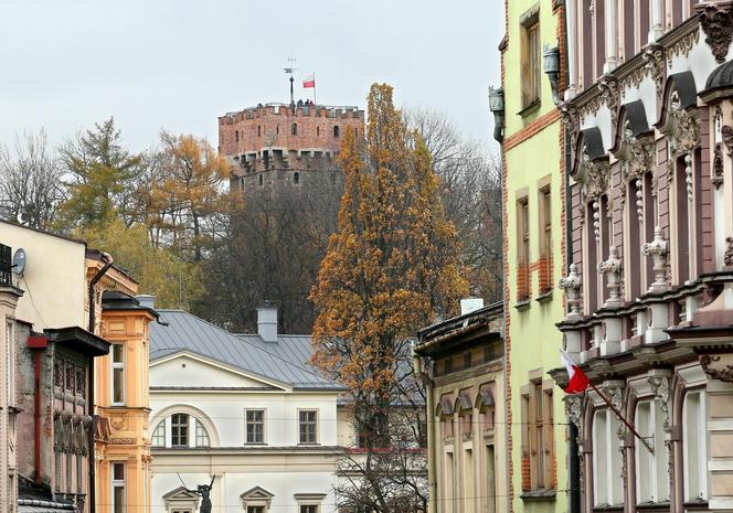 Zamek w Cieszynie, widok na wzgórze zamkowe