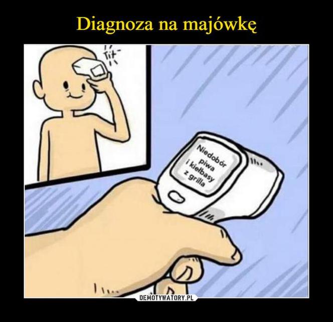 majówka 2021 - memy