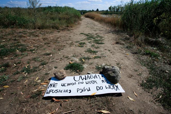 Stan nadzwyczajny w czterech województwach? Nie chodzi o sianie paniki