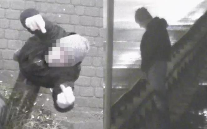 Bydgoszcz. Pokazał środkowy palec i oddał mocz na moście! Wszystko się nagrało