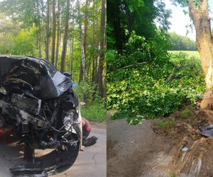 Śmiertelny wypadek pod Ciechanowem! 40-latek, 34-latek i 30-latka nie żyją. Audi Q5 rozbiło się o drzewo [ZDJĘCIA, AKTUALIZACJA]