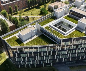 Zielone dachy – sposób na poprawę mikroklimatu i retencję wody w miastach
