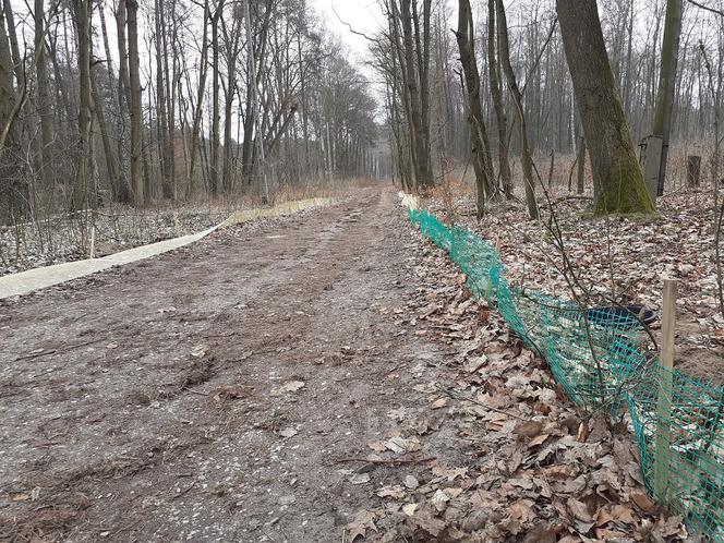 Ochrona żab na Barbarce