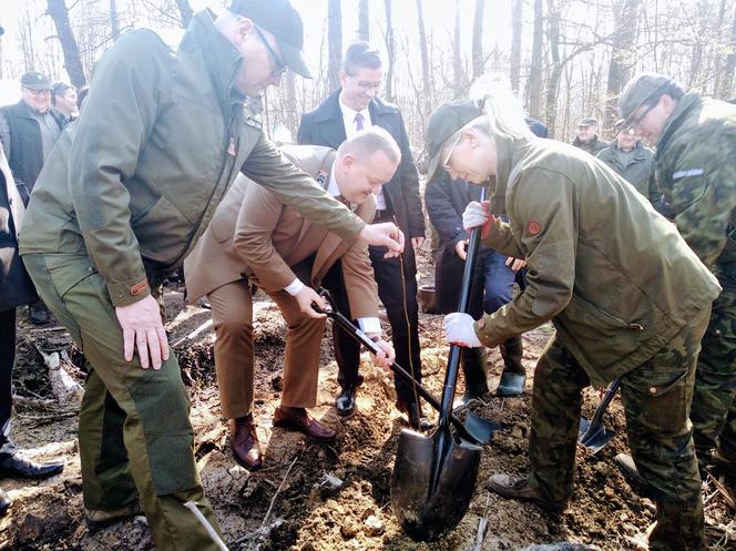 Katowice: Leśnicy sadzą na Muchowcu nowe drzewa [ZDJĘCIA, AUDIO]