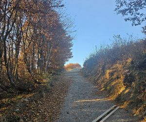 Bieszczady na jesień 