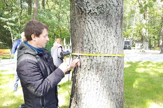 Tomograf dla drzew w Dąbrowie Górniczej 