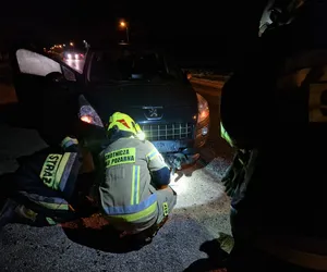 Potrącony przez samochód pies zakleszczył się w zderzaku. Cudem udało się go uratować