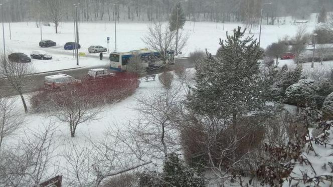 Zima w Trójmieście 28.01.2021