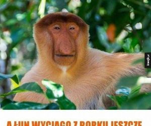 Memy na Dzień Szwagra 
