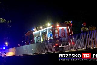 Powiat brzeski. Nocna akcja ratownicza strażaków nad rzeką Uszwicą