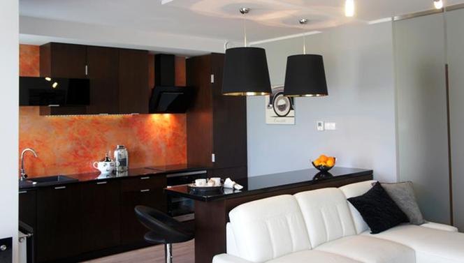 Salon z kuchnią