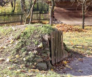 Zachwycający listopad w Muzeum Wsi Lubelskiej! Tak prezentuje się jesienny skansen [ZDJĘCIA]