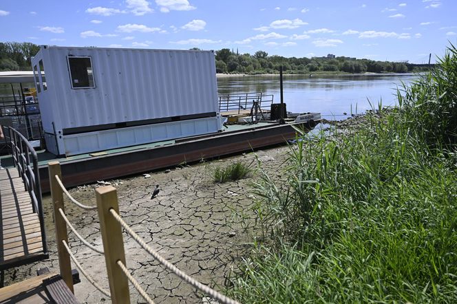 Alarm! Wisła wysycha na naszych oczach. Katastrofalny poziom wody w Warszawie