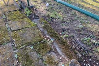 Stan stadionu przy ul. Sulechowskiej w Zielonej Górze