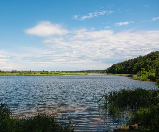 Najlepsze kąpieliska na Podkarpaciu