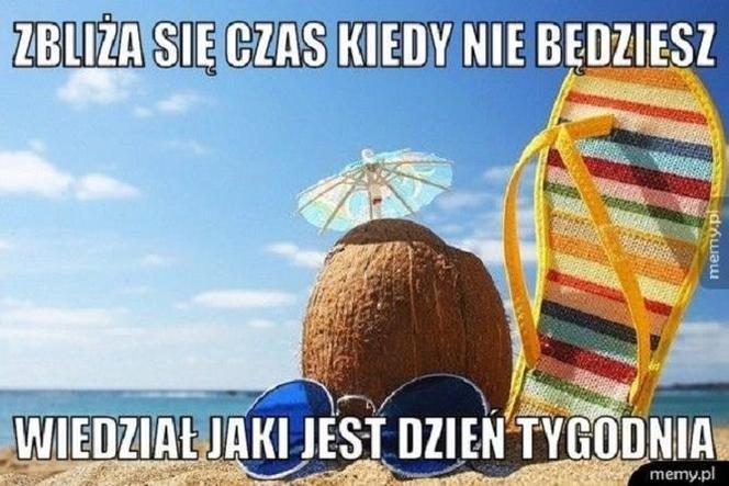 Koniec roku szkolnego. Te MEMY rozbawią cię do łez! [GALERIA]