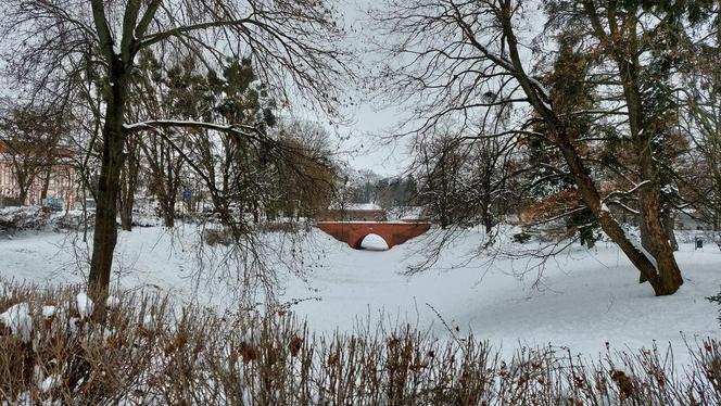 Zamojski Park pod śniegiem