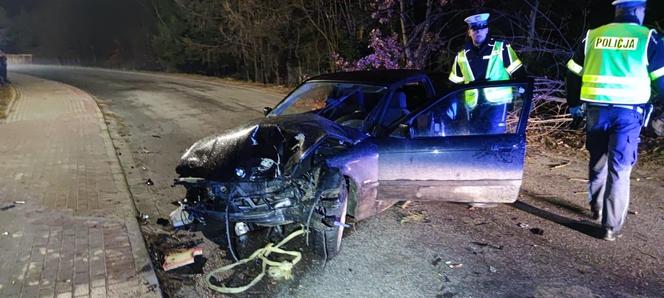 Fatalny wypadek koło Kamiennej Góry. Kierowca osobówki uderzył w trzy drzewa, oszukał przeznaczenie